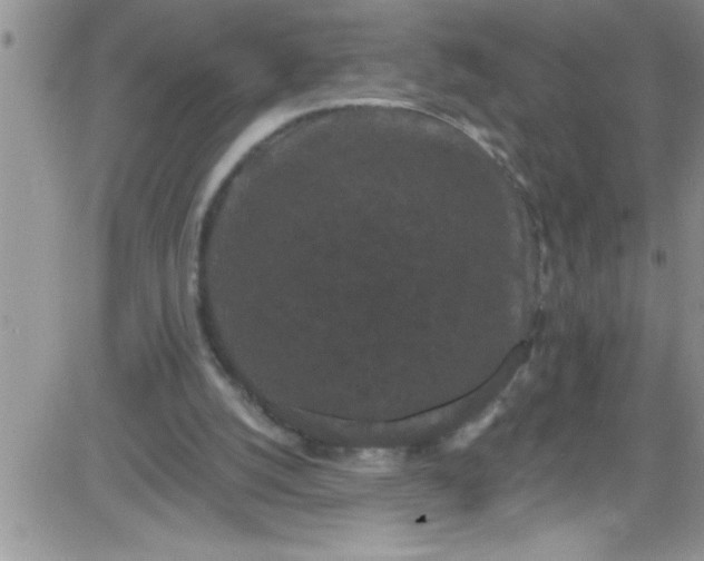 X0000084050056200703022225