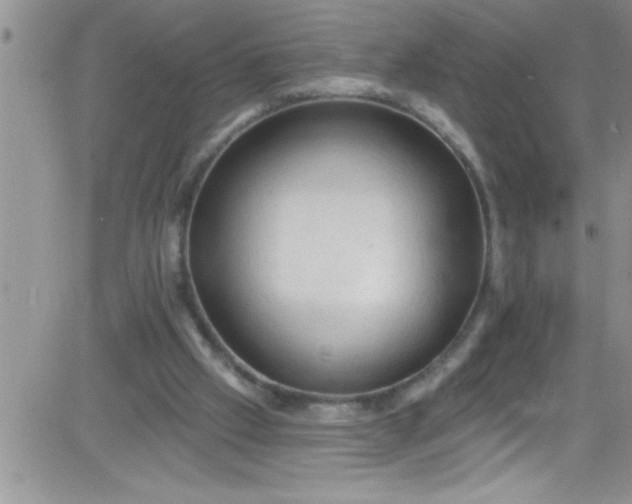 X0000084050057200703022225