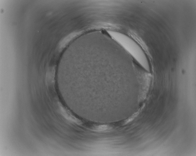 X0000084050058200703022225