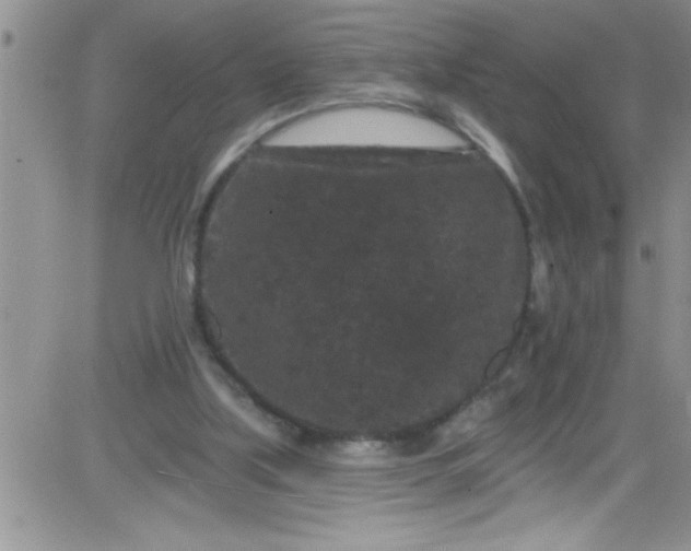 X0000084050059200703022225