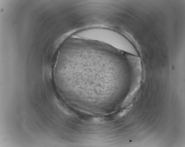 X0000084050060200703022225