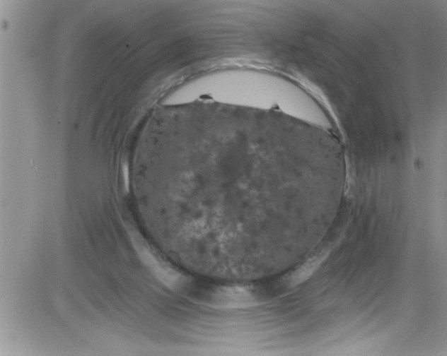 X0000084050061200703022225