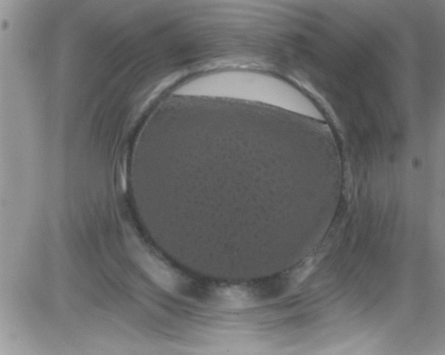 X0000084050062200703022225