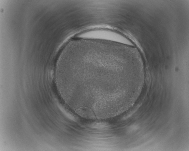 X0000084050063200703022225