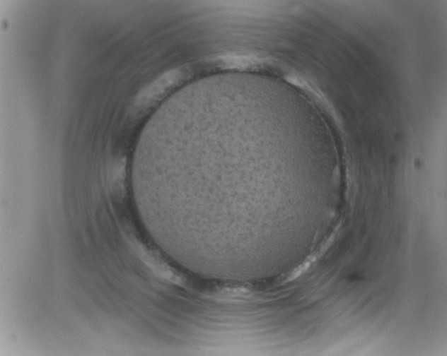 X0000084050066200703022225