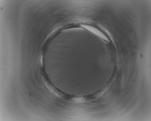 X0000084050067200703022225