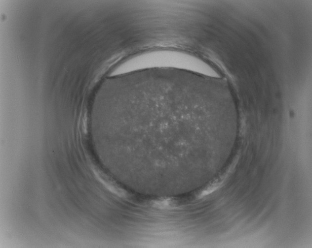 X0000084050068200703022225