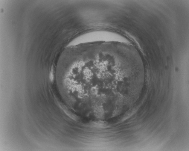 X0000084050069200703022225