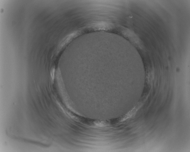 X0000084050070200703022225