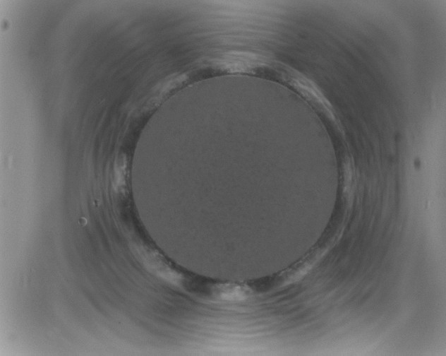 X0000084050073200703022225