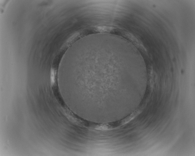 X0000084050075200703022225