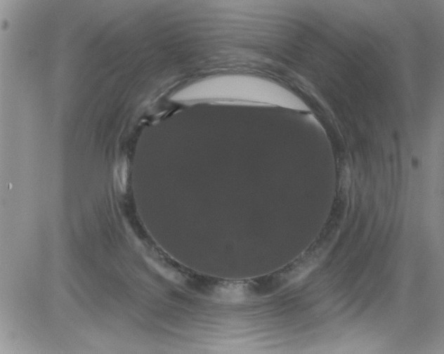 X0000084050076200703022225