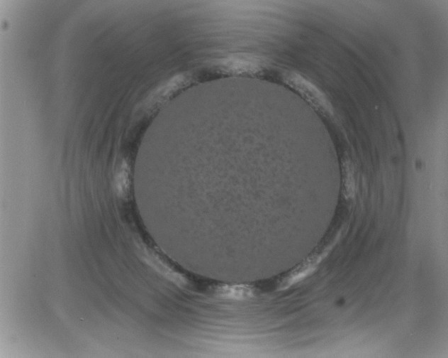 X0000084050077200703022225