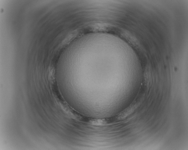 X0000084050079200703022225