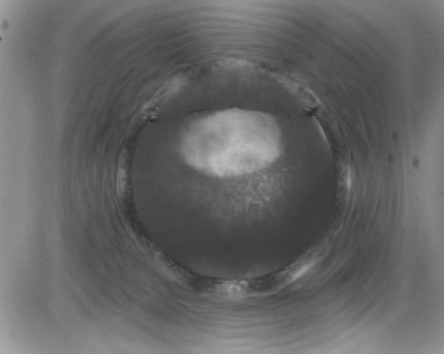 X0000084050080200703022226