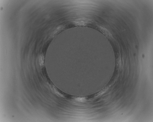 X0000084050081200703022226