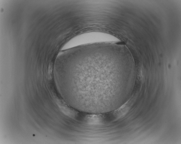 X0000084050082200703022226