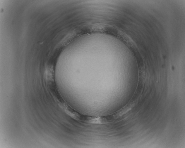 X0000084050083200703022226