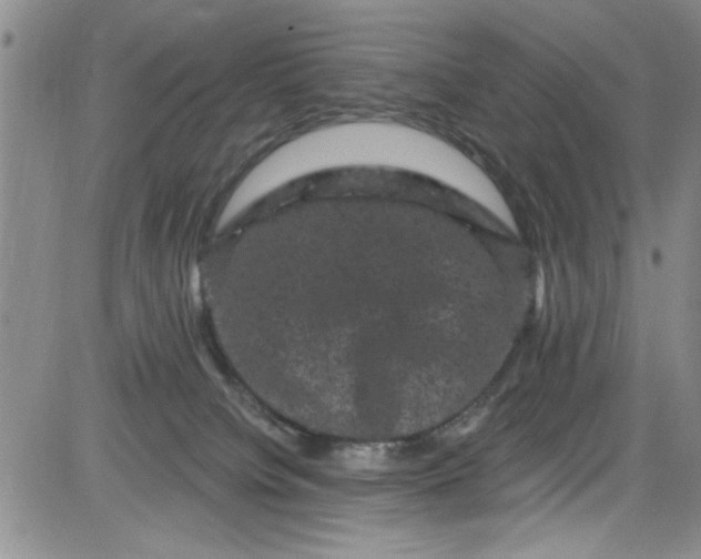 X0000084050084200703022226