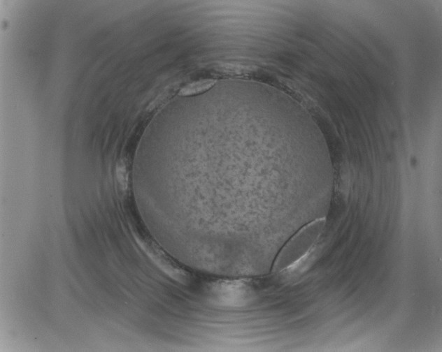 X0000084050086200703022226