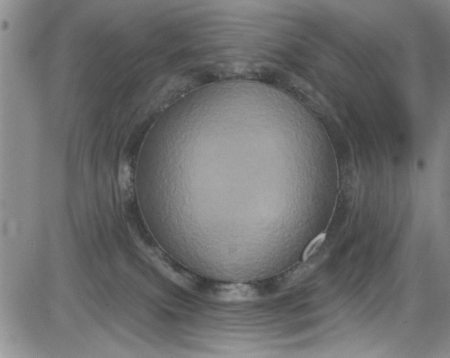 X0000084050087200703022226