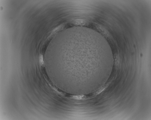 X0000084050089200703022226