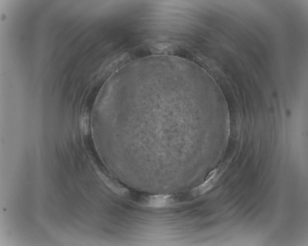 X0000084050090200703022226