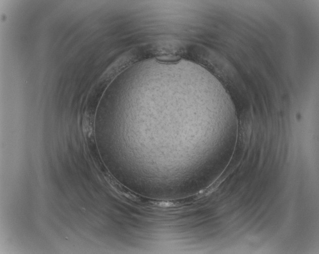 X0000084050091200703022226