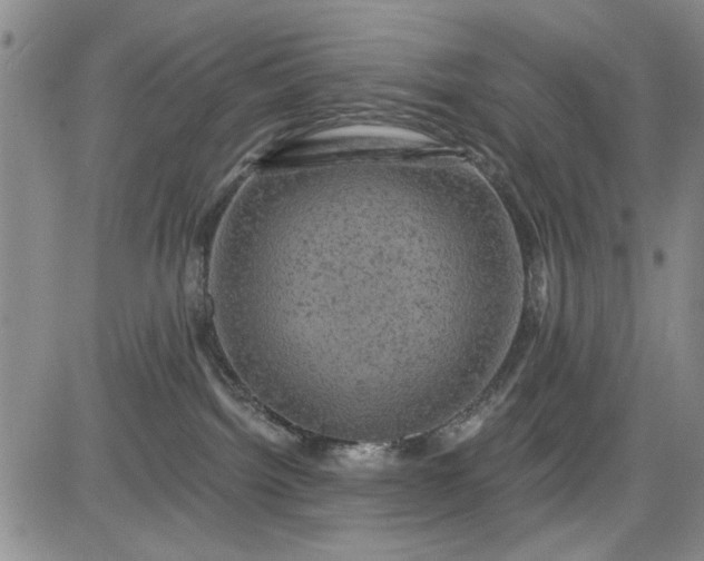 X0000084050092200703022226