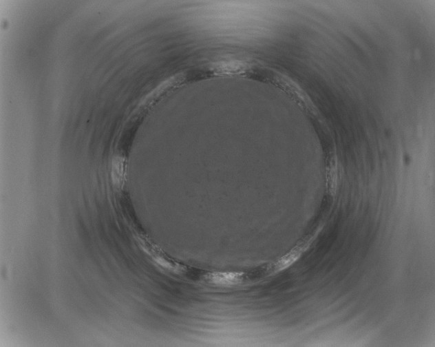 X0000084050093200703022226