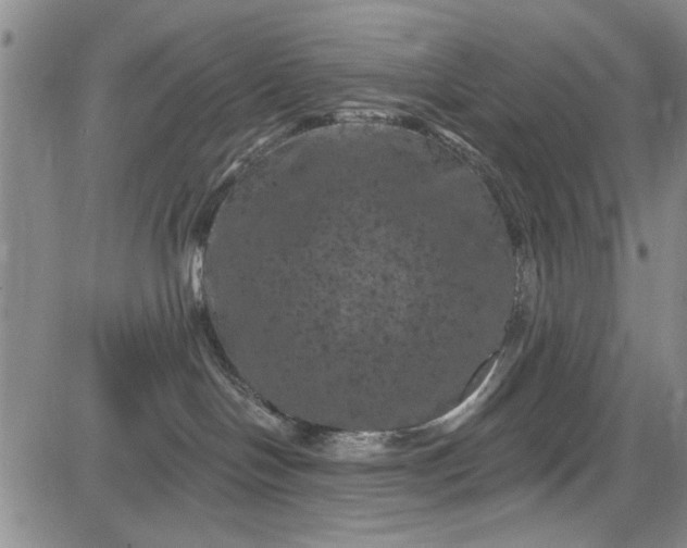 X0000084050094200703022226