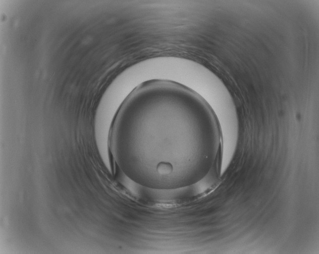 X0000084050095200703022226