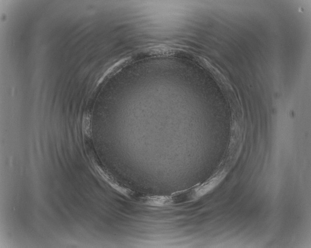 X0000084050096200703022226