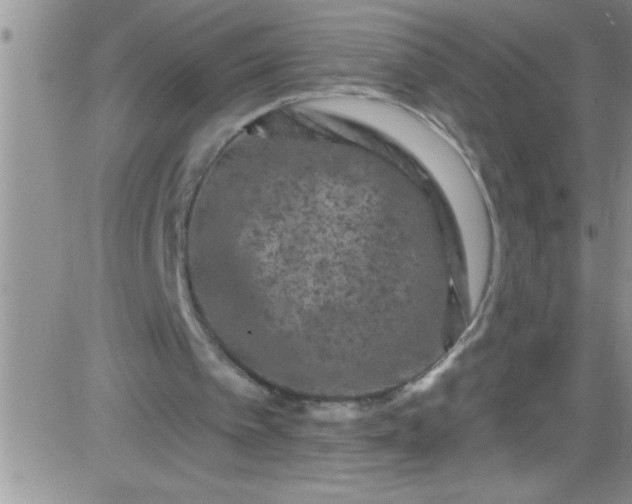 X0000084050097200703022225