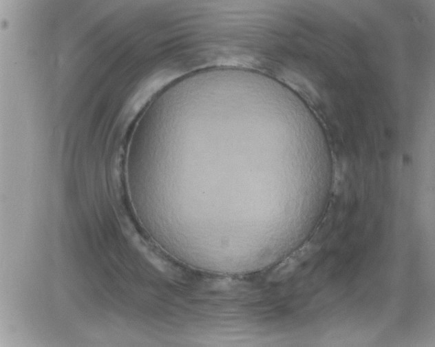 X0000084050098200703022225