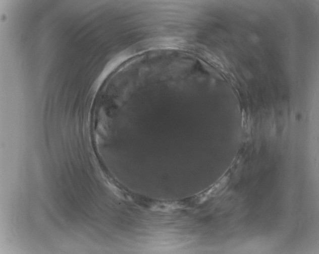 X0000084050099200703022225