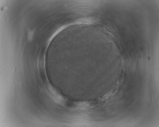 X0000084050100200703022225