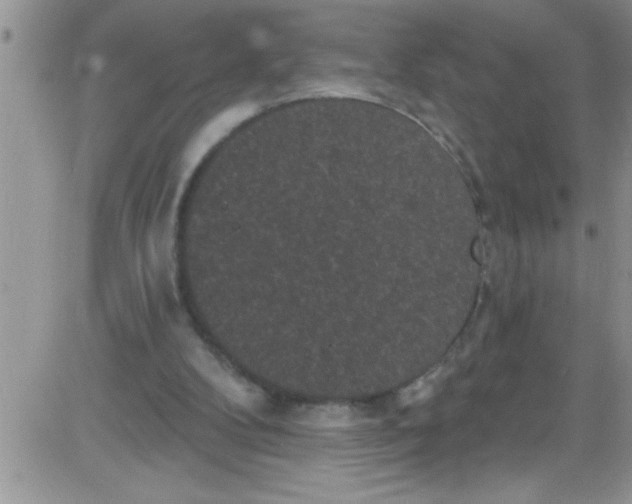 X0000084050104200703022225