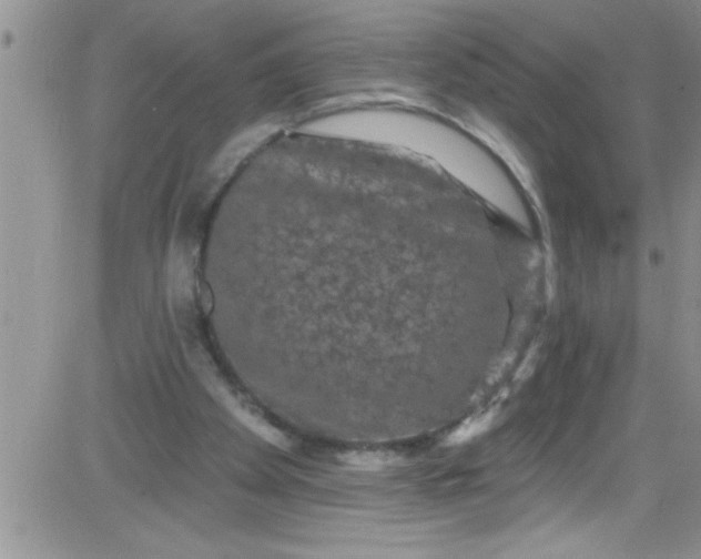 X0000084050105200703022225