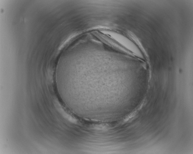 X0000084050106200703022225