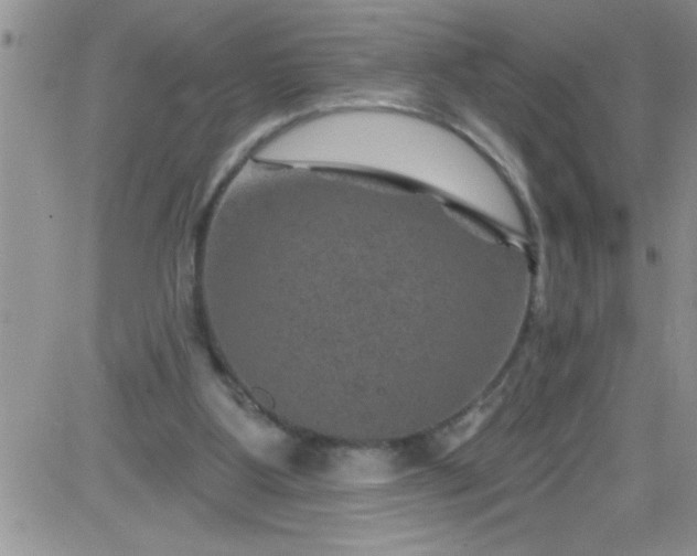 X0000084050107200703022225