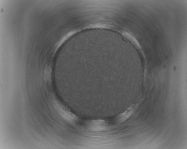 X0000084050108200703022225