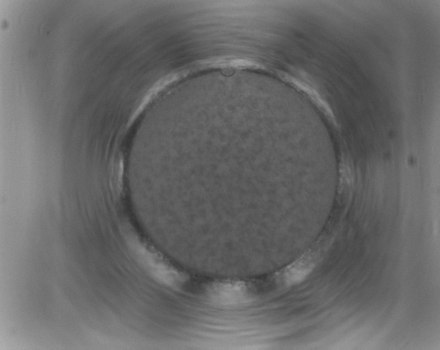 X0000084050110200703022225