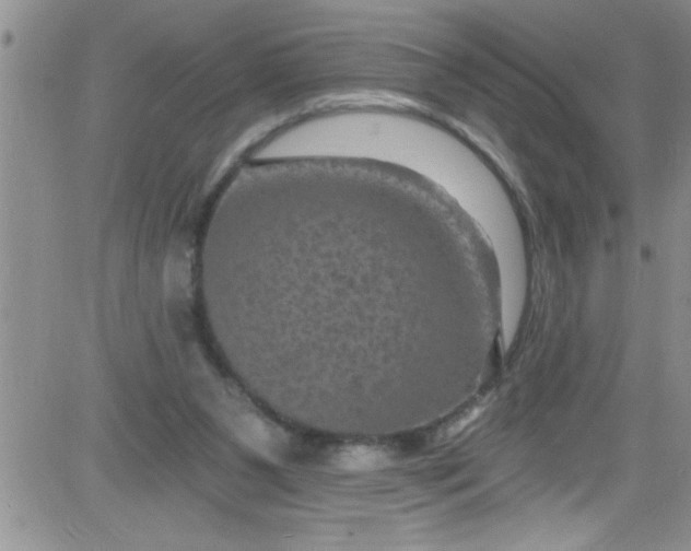 X0000084050111200703022225