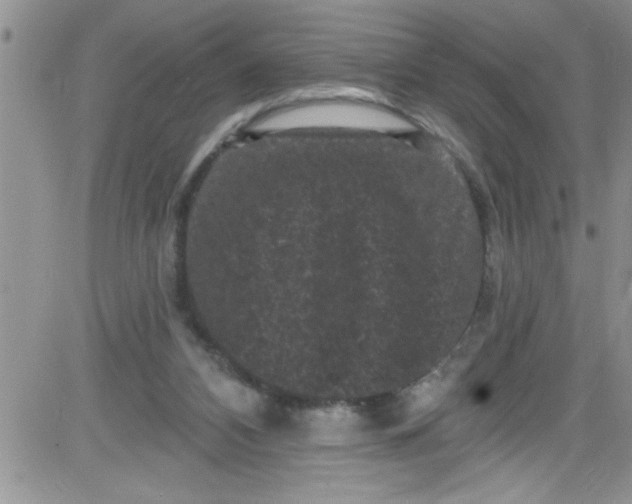 X0000084050112200703022225