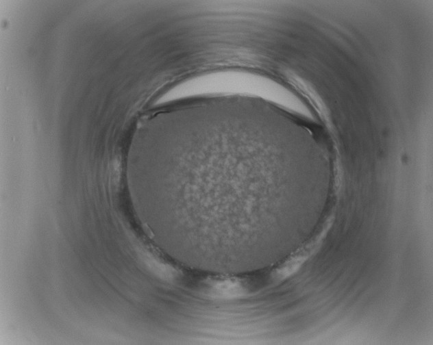 X0000084050113200703022225