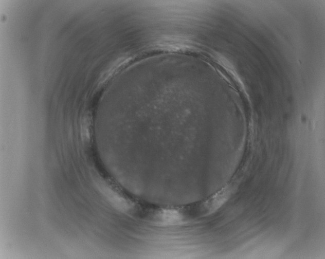 X0000084050114200703022225