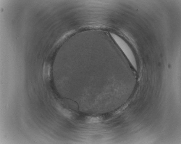 X0000084050115200703022225