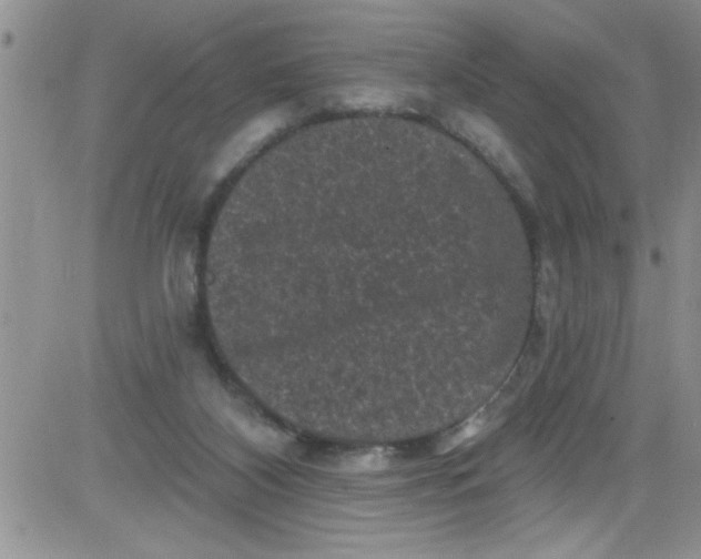 X0000084050116200703022225