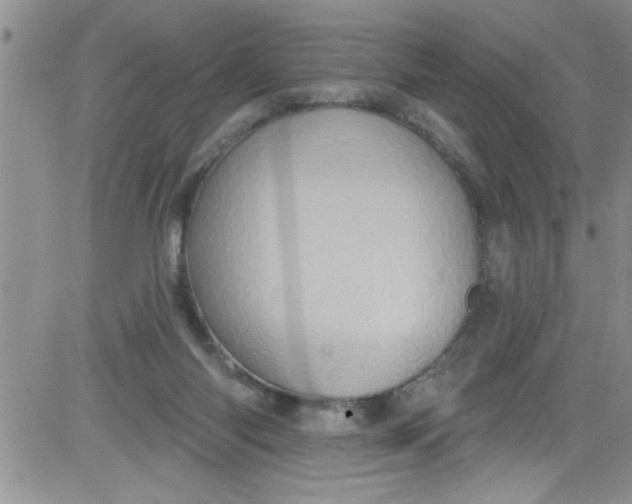 X0000084050118200703022225